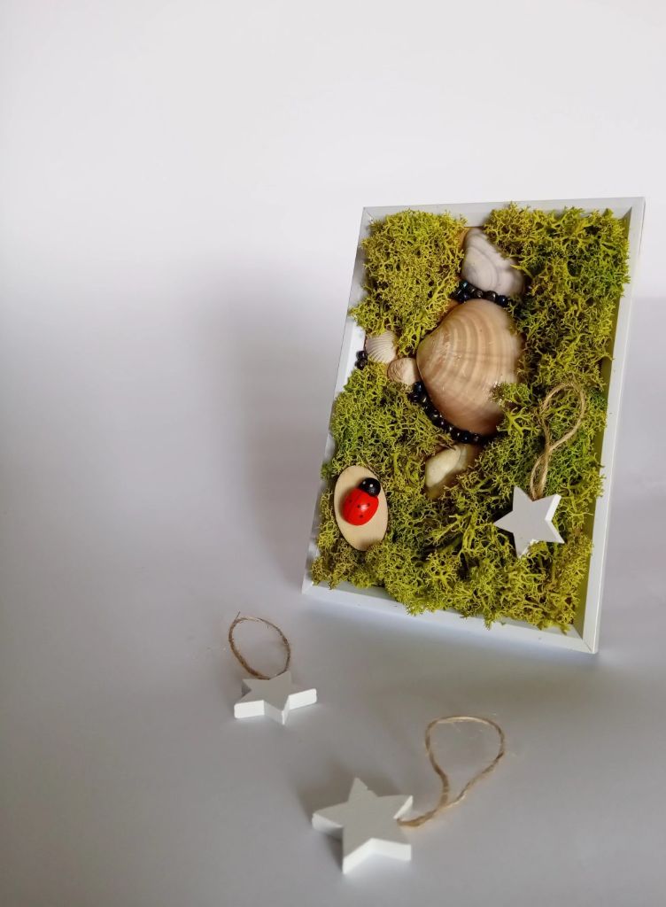 Ladybug | dekoracije od mahovine — slika