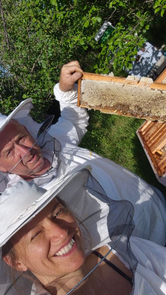 POMOĆ U PČELINJAKU – STRUČAN PREGLED I ODRŽAVANJE KOŠNICA — slika