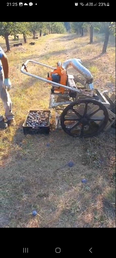 Nudim uslugu branja sljiva samohodnim beračem — slika